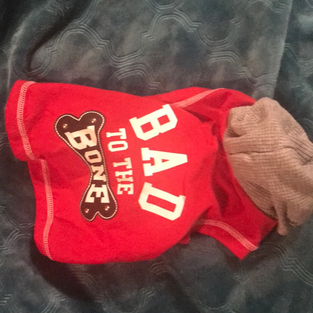 Small Dog hoodie.